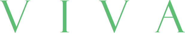 Viva Digital Agency wordmark logo